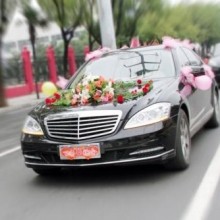 婚车租赁_陆家镇租车,陆家镇租车公司