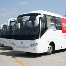 陆家镇旅游租车-大金龙